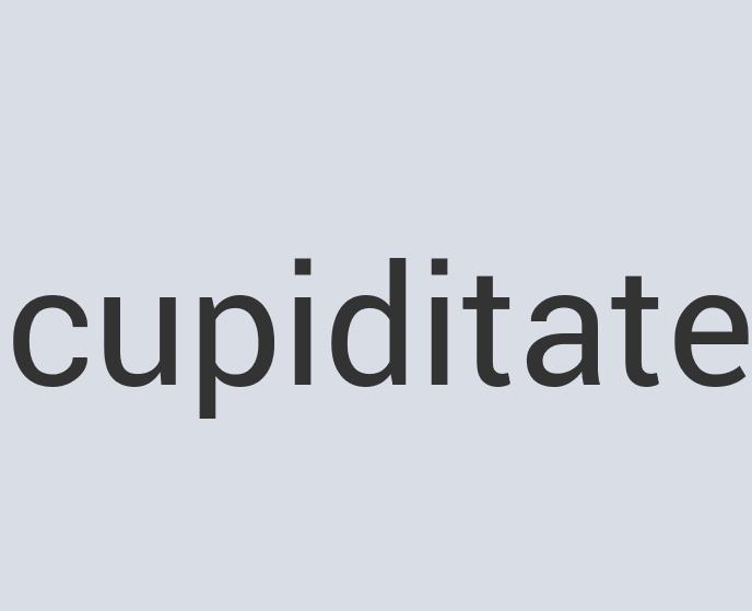 Aerodynamic Silk Aesthetic Bug Gloss