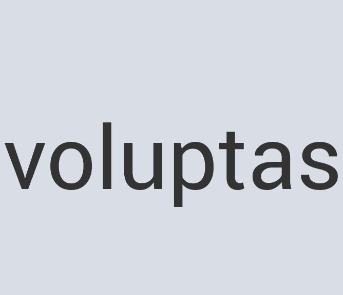 Aerodynamic Bronze MaxiDog