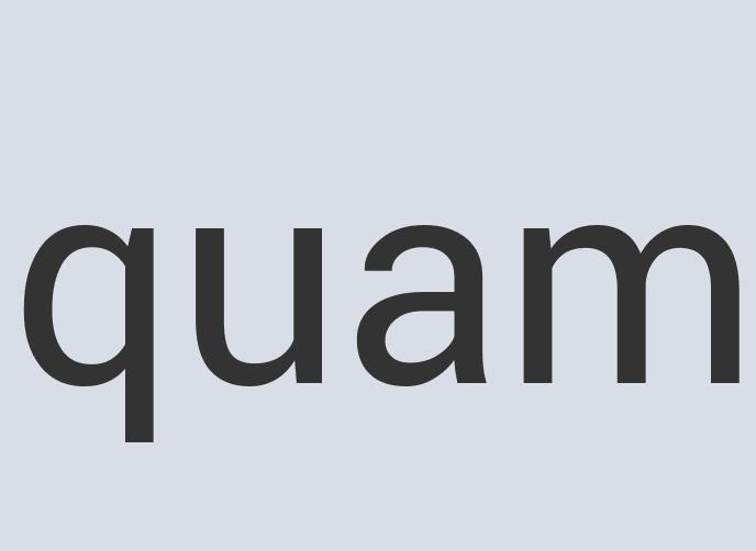 Aerodynamic Leather Shameless Flu Waistcoat