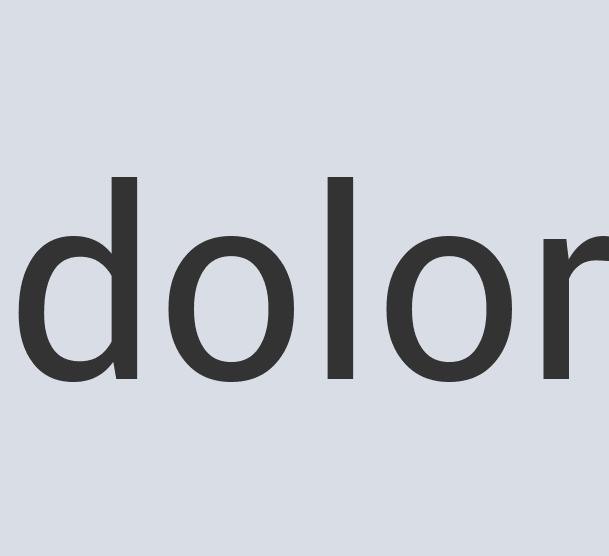 Aerodynamic Bronze MaxiDog