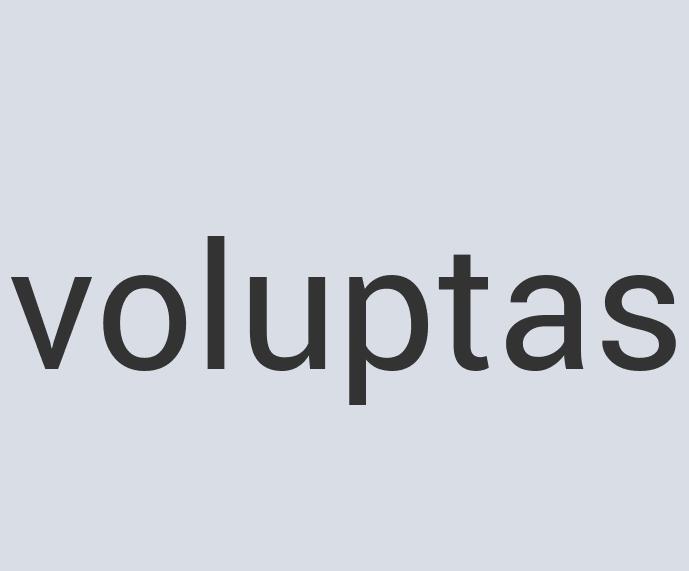 Awesome Silk QuickFrame